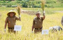 Inovasi Pertanian Sumedang: Tabela Jadi Model Peningkatan Produktivitas Petani