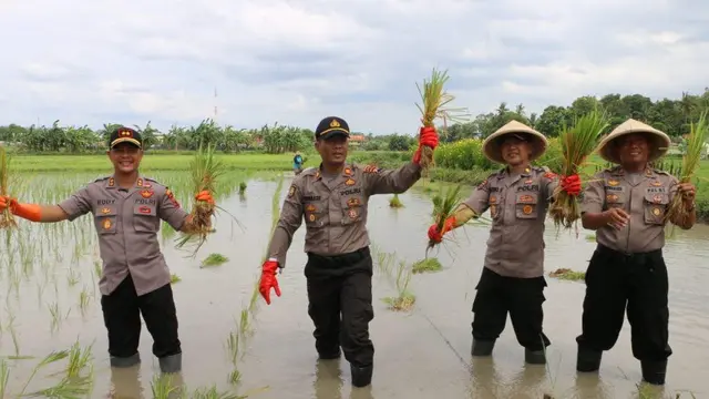Bersama Masyarakat, Polri Wujudkan Program Ketahanan Pangan di tengah Pandemi Covid-19