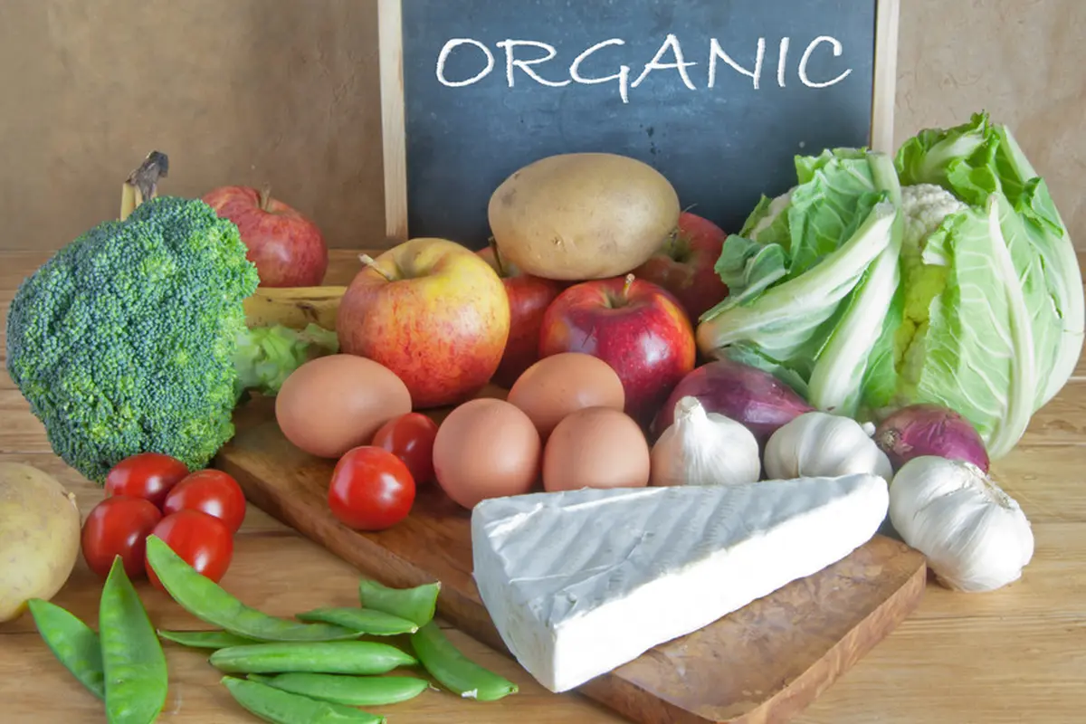 makanan organik