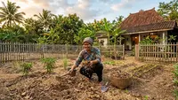 5 Cara Menyuburkan Tanah Kering di Halaman Tanpa Sering Menyiram, Efektif dan Simpel