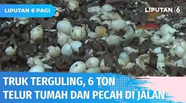 Apes, truk pengangkut 6 ton telur terguling di Tabanan, Bali, ribuan telur tumpah dan pecah di jalan. Kerugian diperkirakan mencapai ratusan juta rupiah.