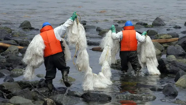 FOTO: Pembersihan Minyak dari Pantai di Peru Masih Berlanjut