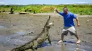 Seorang petugas sedang memberi makan seekor buaya di tepi Sungai Tarcoles, Rio Grande, Kosta Rika, Jumat (13/3/2015). Buaya menjadi daya tarik objek wisata Sungai Tarcoles. (AFP Photo/Ezequiel Becerra)