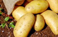 10 Makanan Penurun Darah Tinggi yang Wajib Dicoba, Mudah Didapat & Bikin Jantung Sehat