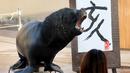 Singa laut 'Leo' berpose di samping lukisan aksara China tahun babi hutan yang dibuatnya di Hakkeijima Sea Paradise, Yokohama, Tokyo (26/12).  Imlek yang akan datang akan masuk ke dalam Tahun Babi. (AFP Photo/Kazuhiro Nogi)