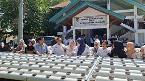 Pemkot Palu Optimalkan Lahan Terbatas dengan Budidaya Hidroganik, Tingkatkan Ketahanan Pangan