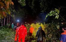 Penanganan Pohon Tumbang Pacitan: BPBD Sigap Atasi Dampak Cuaca Ekstrem