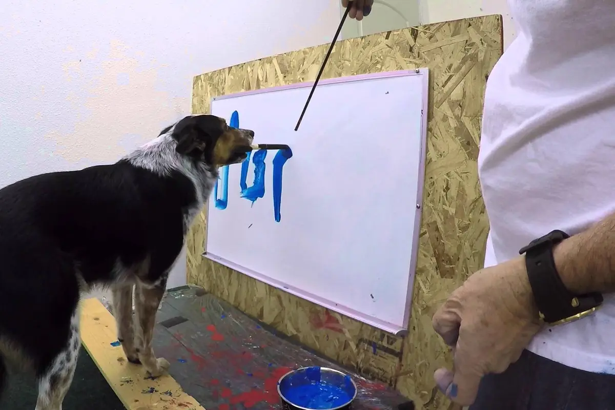 Pintar, Anjing Ini Bisa Tulis Namanya Sendiri di Atas Kertas