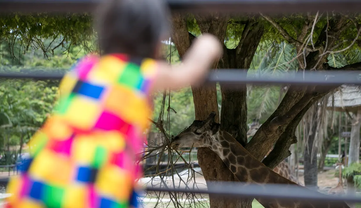 Seorang anak perempuan mengunjungi Khao Kheow Open Zoo di Provinsi Chonburi, Thailand, Selasa (16/6/2020. Enam kebun binatang di Thailand akan kembali dibuka bagi pengunjung secara gratis mulai 15 hingga 30 Juni. (Xinhua/Zhang Keren)