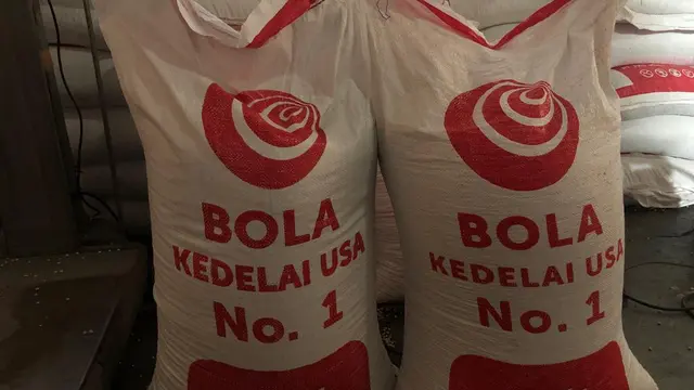 Salah satu kacang kadelai yang digunakan pengrajin tempe tahu di Garut, Jawa Barat. (Liputan6.com/Jayadi Supriadin)
