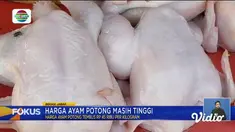 Fokus edisi (13/10) mengangkat beberapa topik pilihan sebagai berikut, Perahu Bawa Pelajar Karam, Kebakaran di Tempat Pembuangan Sampah, Pembalap MotoGP Tanam Terumbu Karang.