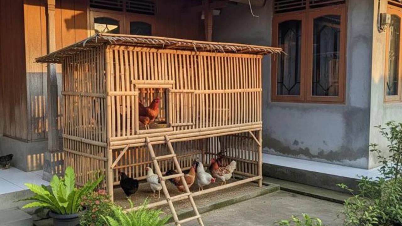 8 Usaha Ternak Modal Kecil Tanpa Kandang Besar, Tetap Cuan Meski Lahan Terbatas