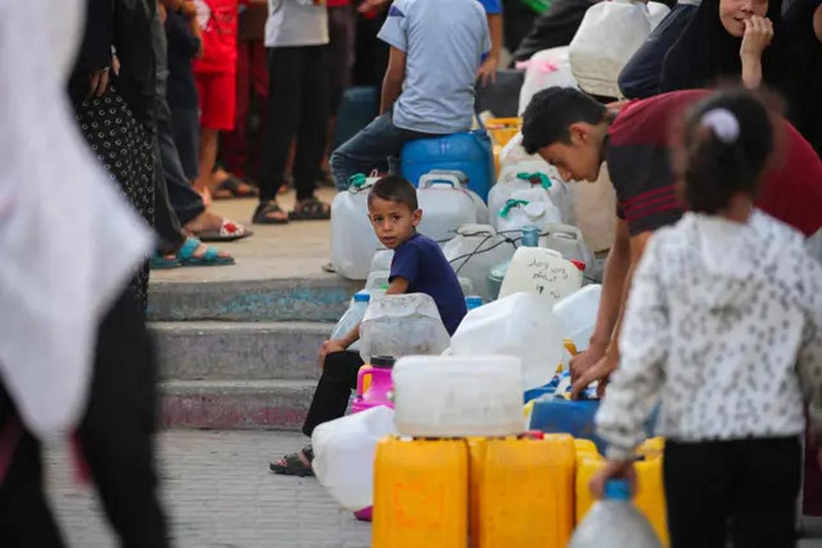 Kata Pengamat Terkait Pengiriman Beras 10.000 Ton Beras dari Indonesia ke Palestina