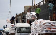 1,3 Juta Ton Beras Impor Masuk Gudang Bulog, Harga Gabah Petani Aman?