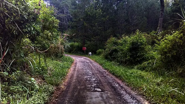 Salam Pagi
