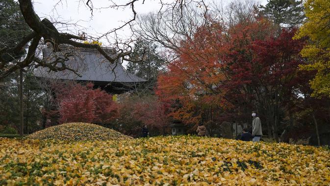 Orang-orang yang mengenakan masker mengunjungi kuil Buddha Joshinji sambil mengamati warna dedaunan musim gugur di Tokyo, Jepang pada 9 Desember 2020. (AP Photo/Kiichiro Sato)