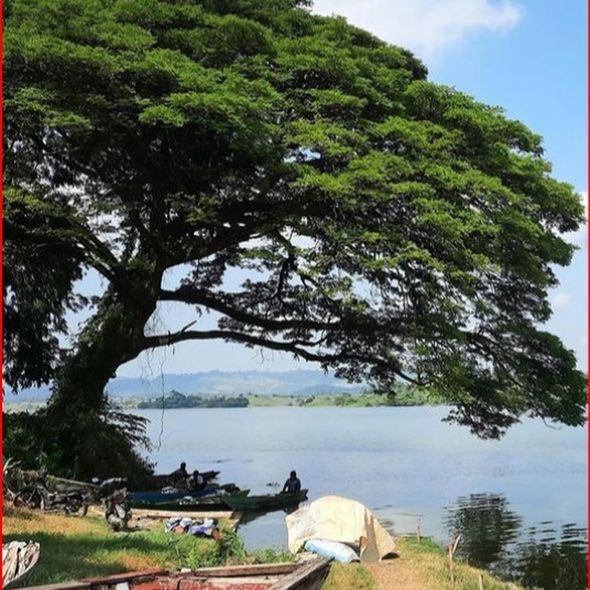 Waduk Pacal