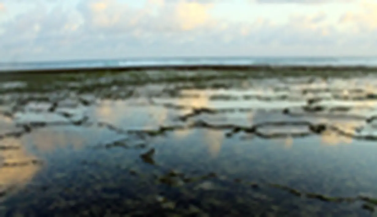 liputan6