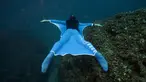 Penyelam gaya bebas asal Monaco, Pierre Frolla memakai prototipe wetsuit 'Oceanwings' saat menyelam di laut Mediterania (13/8). Wetsuit yang digunakan melucur dalam air tersebut diproduksi oleh Aqualung. (AFP Photo/Boris Horvat)