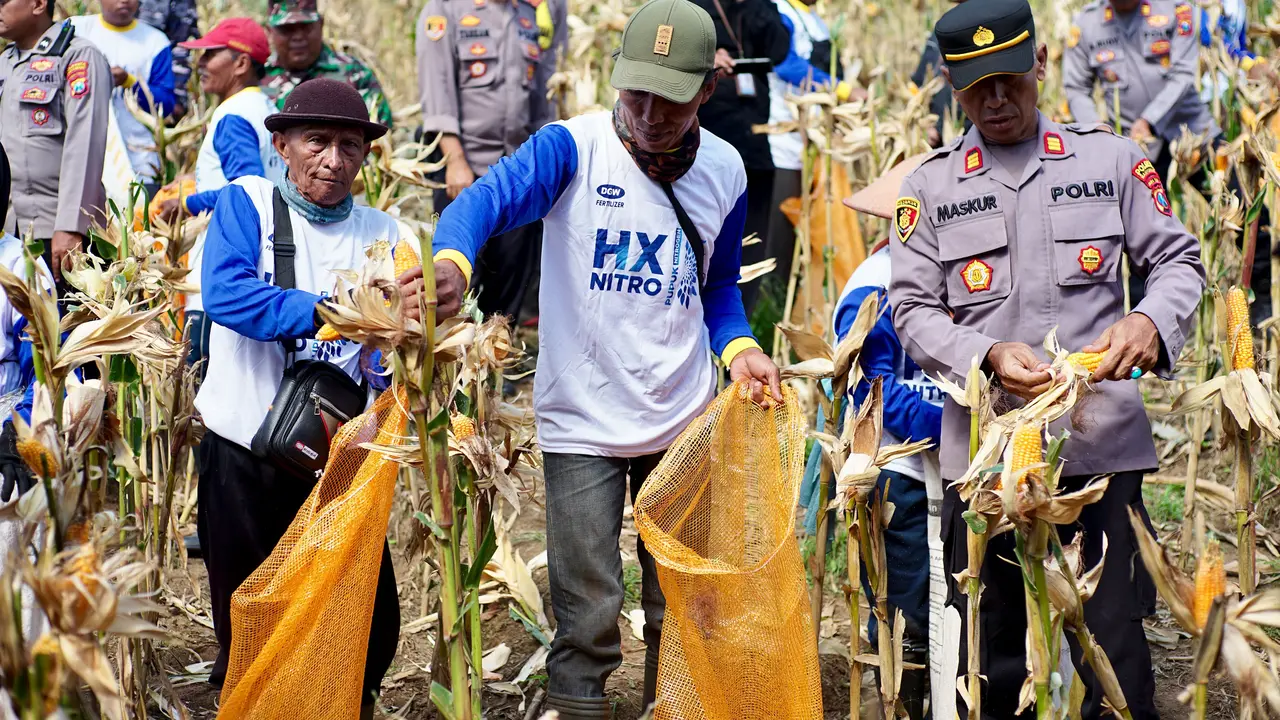 Jumlah Panen Jagung