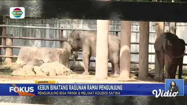 Fokus : Perayaan Malam Tahun Baru 2025 di Sejumlah Daerah di Indonesia