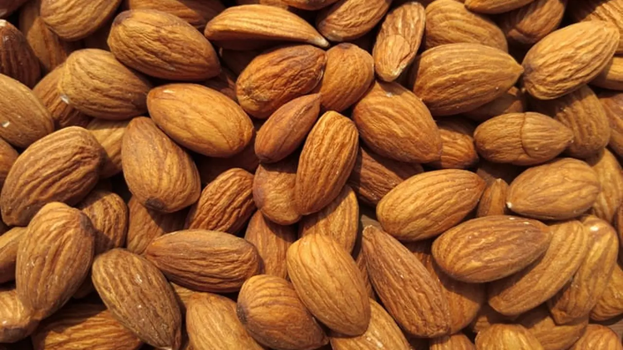 Ilustrasi almond