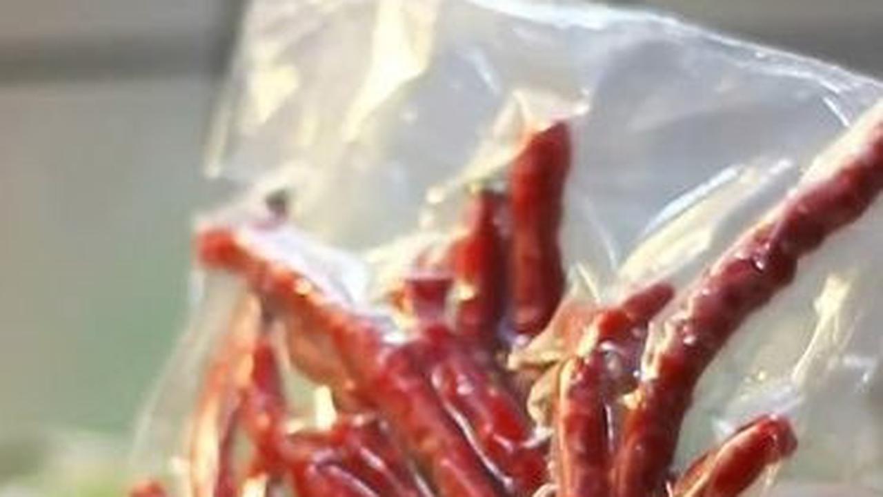 Masukkan Cabai ke dalam Plastik