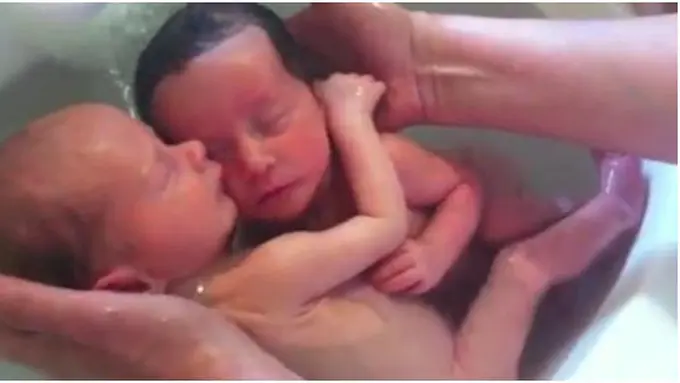 Photo copyright stomp.com