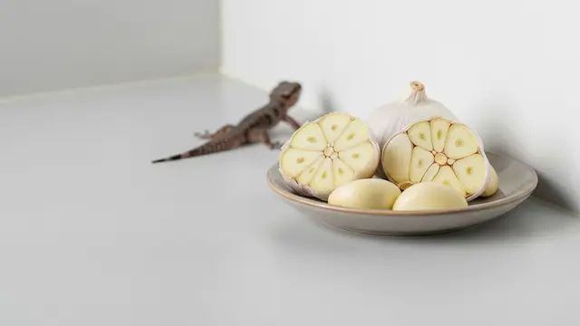 Cara Mengusir Cicak dengan Bawang Putih