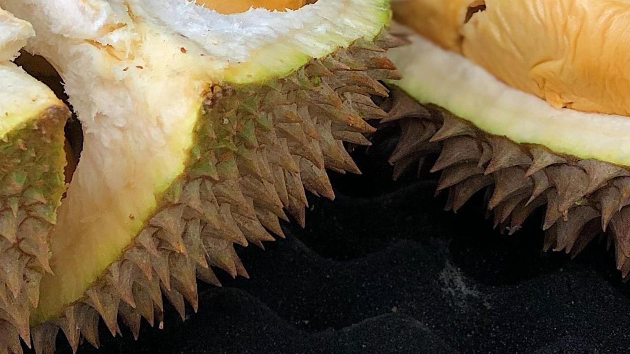 Efek Samping Konsumsi Durian Berlebih, Tingkatkan Kolesterol dan Gula Darah