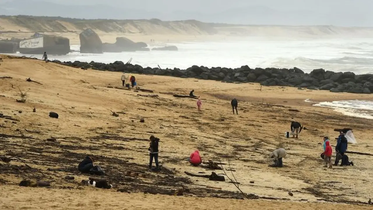 Narkoba terdampar di Pantai Prancis.