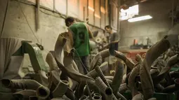 Pekerja menyelesaikan shofar di Bar-Sheshet Ribak Shofarot Israel di Tel Aviv, Israel, (19/9). Shofar adalah alat musik tiup terbuat dari tanduk binatang untuk tujuan ritual keagamaan Yahudi seperti Rosh Hoshana dan Yom Kippur. (AP Photo/Dan Balilty)