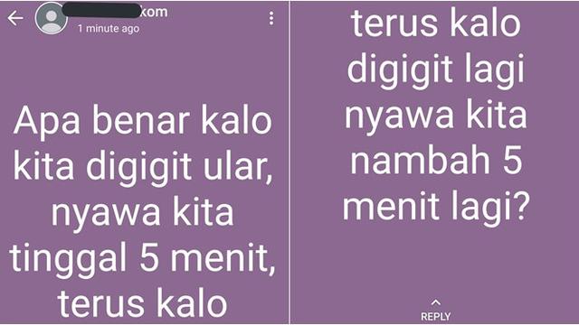 6 Orang Tanya di Status WhatsApp Ini Malah Bikin Tepuk Jidat