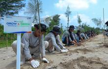 BRI Gandeng Generasi Muda, Dorong Keberlanjutan dan Pemulihan Ekosistem Pesisir