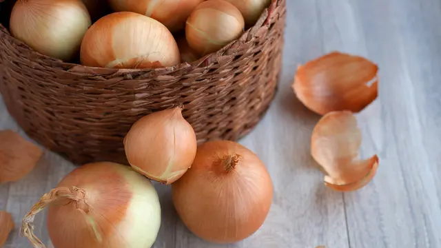 11 Manfaat Bawang Bombay untuk Kesehatan Rambutmu, Demi Cantik yang Sempurna