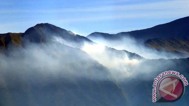 Kebakaran di Kawasan Hutan Rinjani Mencapai 50 Hektar