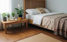 6 Tanaman Ideal untuk Kamar Tidur, Bikin Tidur Nyenyak dan Udara Segar