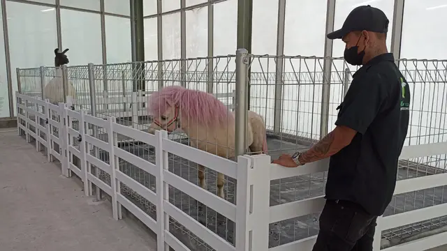 Animal Xperience
