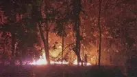 Kebakaran hutan di kawasan Taman Nasional Baluran (Istimewa)