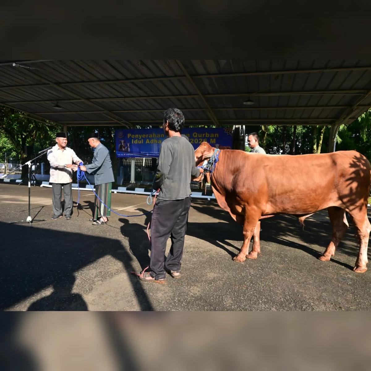 Koopsudnas Rayakan Idul Adha 1447 H dengan Kurban 6 Sapi dan 21 Kambing