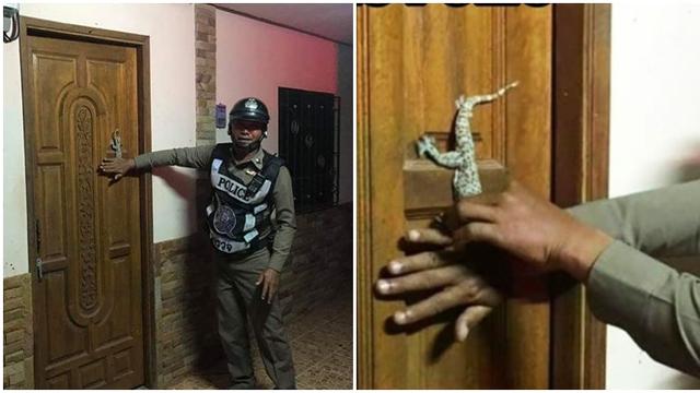 Panik, Wanita Ini Telpon Polisi Alasannya Justru Bikin Senyum-senyum