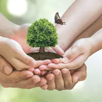 Sustainable environment. (Foto: shutterstock.com)