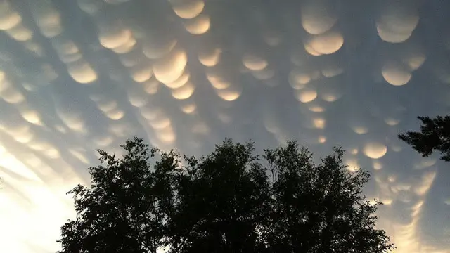 Awan Mammatus