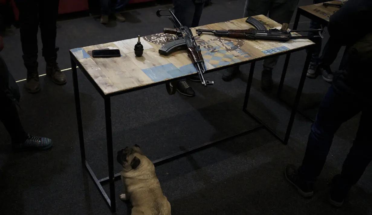 Seekor anjing duduk di bawah meja dengan dua senapan AK-47 saat pelatihan penanganan senjata untuk warga sipil di dalam bioskop di Lviv, Ukraina, 5 Maret 2022. (AP Photo/Felipe Dana)