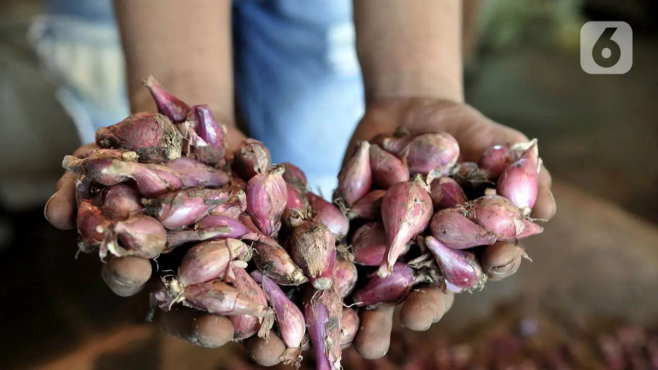 PSBB, Bawang Merah Merangkak Naik