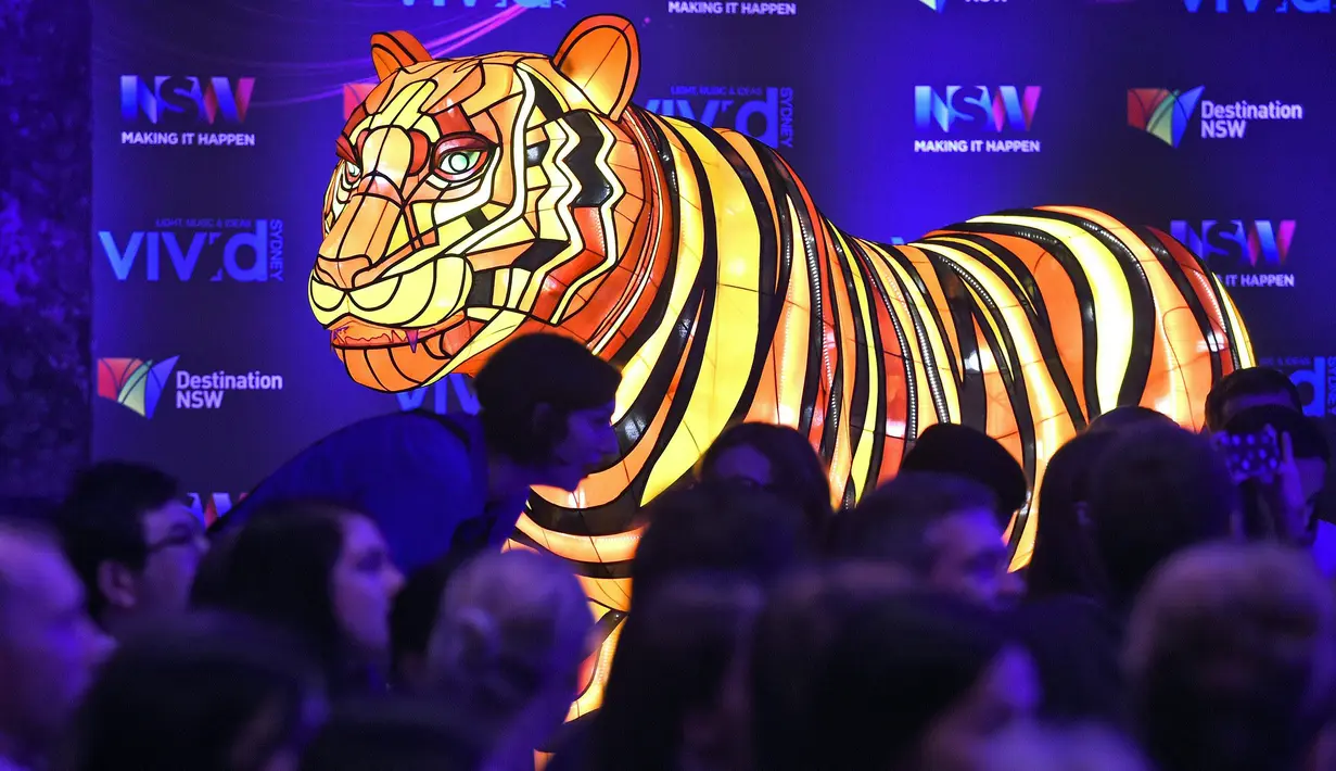 Instalasi harimau Sumatera saat peluncuran Vivid Sydney, Australia (17/3). Vivid Sydney adalah festival terbesar dunia cahaya, musik dan ide-ide mengubah bangunan kota atau ikon menjadi tontonan penuh warna, berlangsung hingga 18 Juni. (AFP/William West)