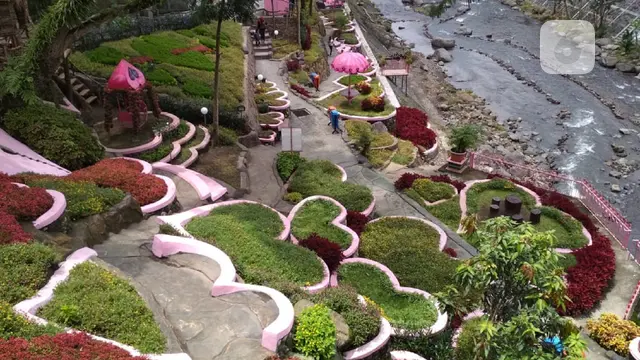 cinta 1000