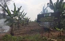 Kodam IM Perkuat Dukungan TNI untuk Ketahanan Pangan Aceh Melalui Program Inovatif