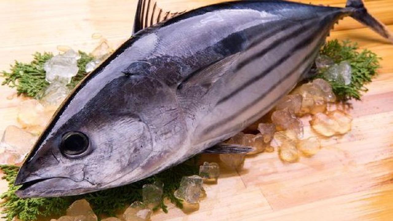 Pemerintah Jepang melakukan tindakan ceroboh dengan membuang limbah nuklir ke laut hingga memicu gelombang kemarahan di masyarakat Fukushima.