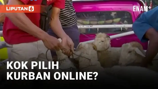 Di New York, Amerika Serikat harga kurban bisa berbeda-beda. Mulai dari harga kurban kambing di kisaran 2 juta rupiah hingga 7 juta rupiah. Ini karena kurban lebih jamak dilakukan secara online ke negara yang berbeda-beda. Simak laporan selengkapnya ...